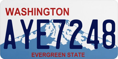WA license plate AYE7248