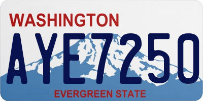 WA license plate AYE7250