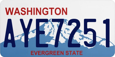 WA license plate AYE7251
