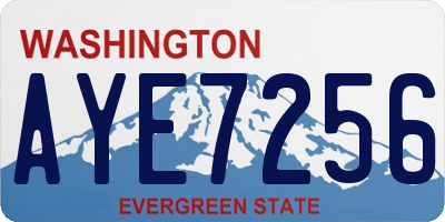 WA license plate AYE7256
