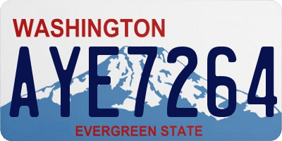 WA license plate AYE7264