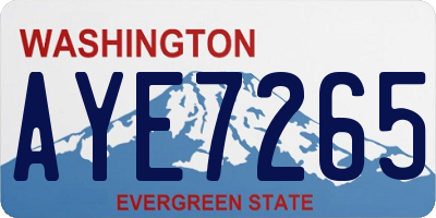 WA license plate AYE7265