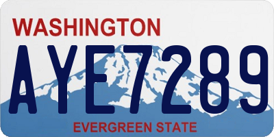 WA license plate AYE7289