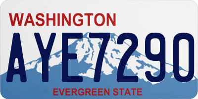 WA license plate AYE7290