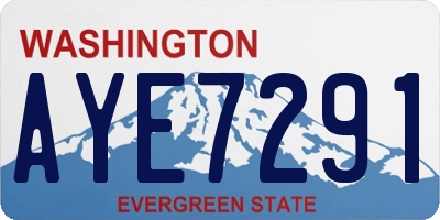 WA license plate AYE7291