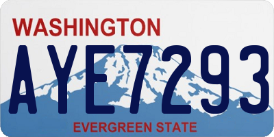 WA license plate AYE7293