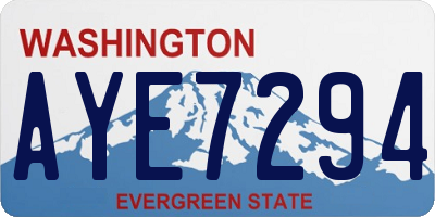 WA license plate AYE7294