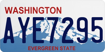WA license plate AYE7295