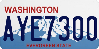 WA license plate AYE7300