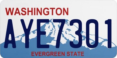 WA license plate AYE7301