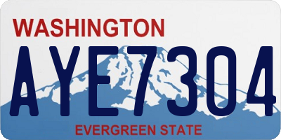 WA license plate AYE7304