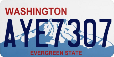 WA license plate AYE7307