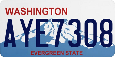 WA license plate AYE7308