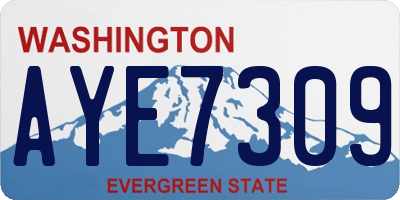WA license plate AYE7309