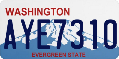 WA license plate AYE7310