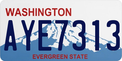 WA license plate AYE7313