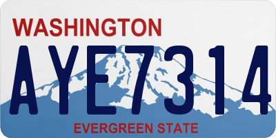 WA license plate AYE7314