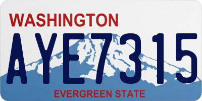 WA license plate AYE7315