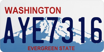 WA license plate AYE7316