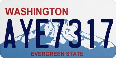 WA license plate AYE7317