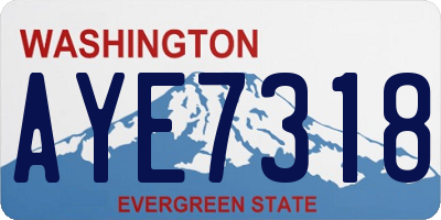 WA license plate AYE7318