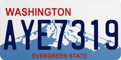 WA license plate AYE7319
