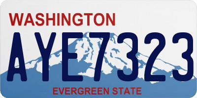 WA license plate AYE7323
