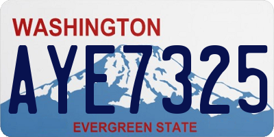 WA license plate AYE7325