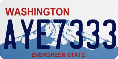 WA license plate AYE7333