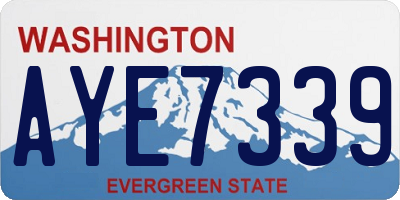 WA license plate AYE7339