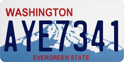 WA license plate AYE7341