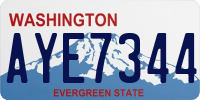 WA license plate AYE7344