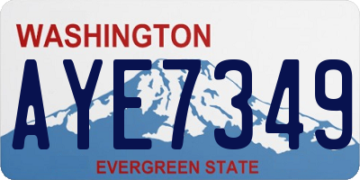 WA license plate AYE7349