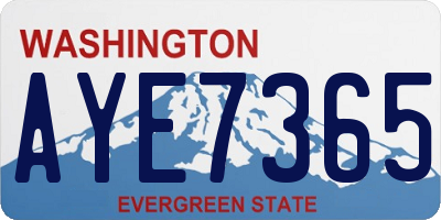 WA license plate AYE7365