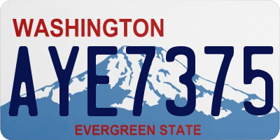 WA license plate AYE7375