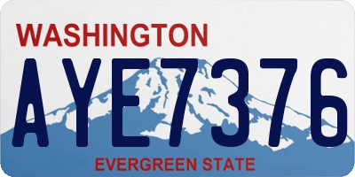 WA license plate AYE7376