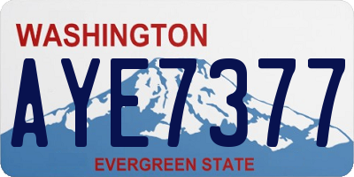 WA license plate AYE7377