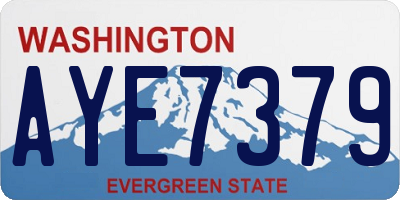WA license plate AYE7379