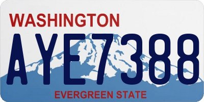 WA license plate AYE7388