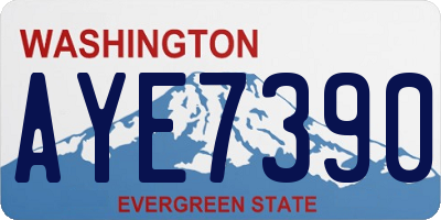 WA license plate AYE7390