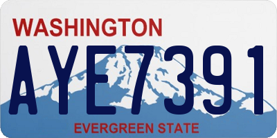 WA license plate AYE7391