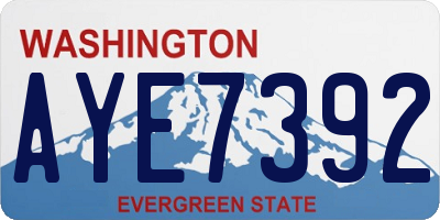 WA license plate AYE7392