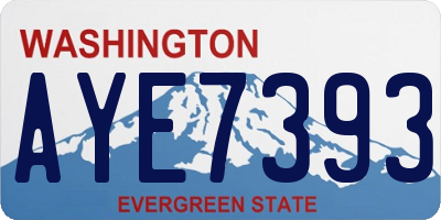 WA license plate AYE7393