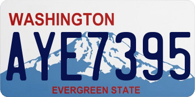 WA license plate AYE7395