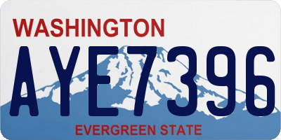 WA license plate AYE7396