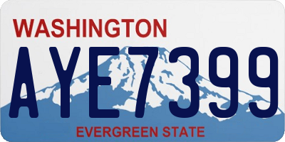 WA license plate AYE7399