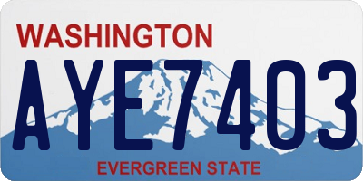 WA license plate AYE7403