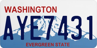 WA license plate AYE7431