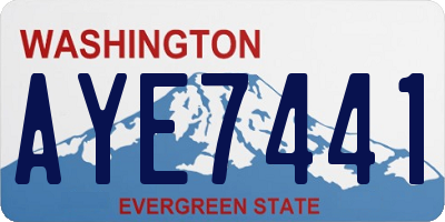 WA license plate AYE7441