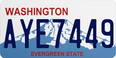 WA license plate AYE7449